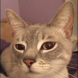 Meet your Posher, Alana